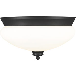 Amon 2 Light 13.00 inch Flush Mount