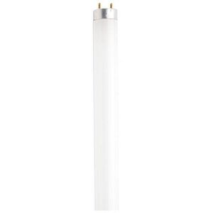 Lumos Fluorescent 40 watt 3000K Light Bulb, T8 Linear