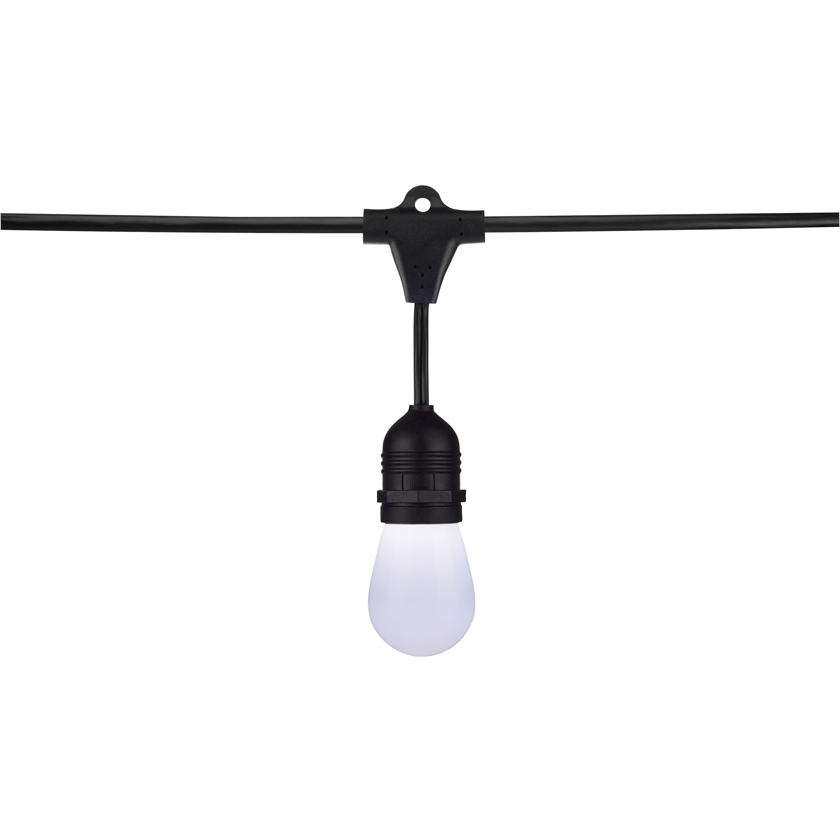 Starfish 12 Light LED 24 foot Black LED String Lights