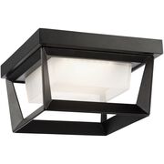 Outdoor Ceiling Lights