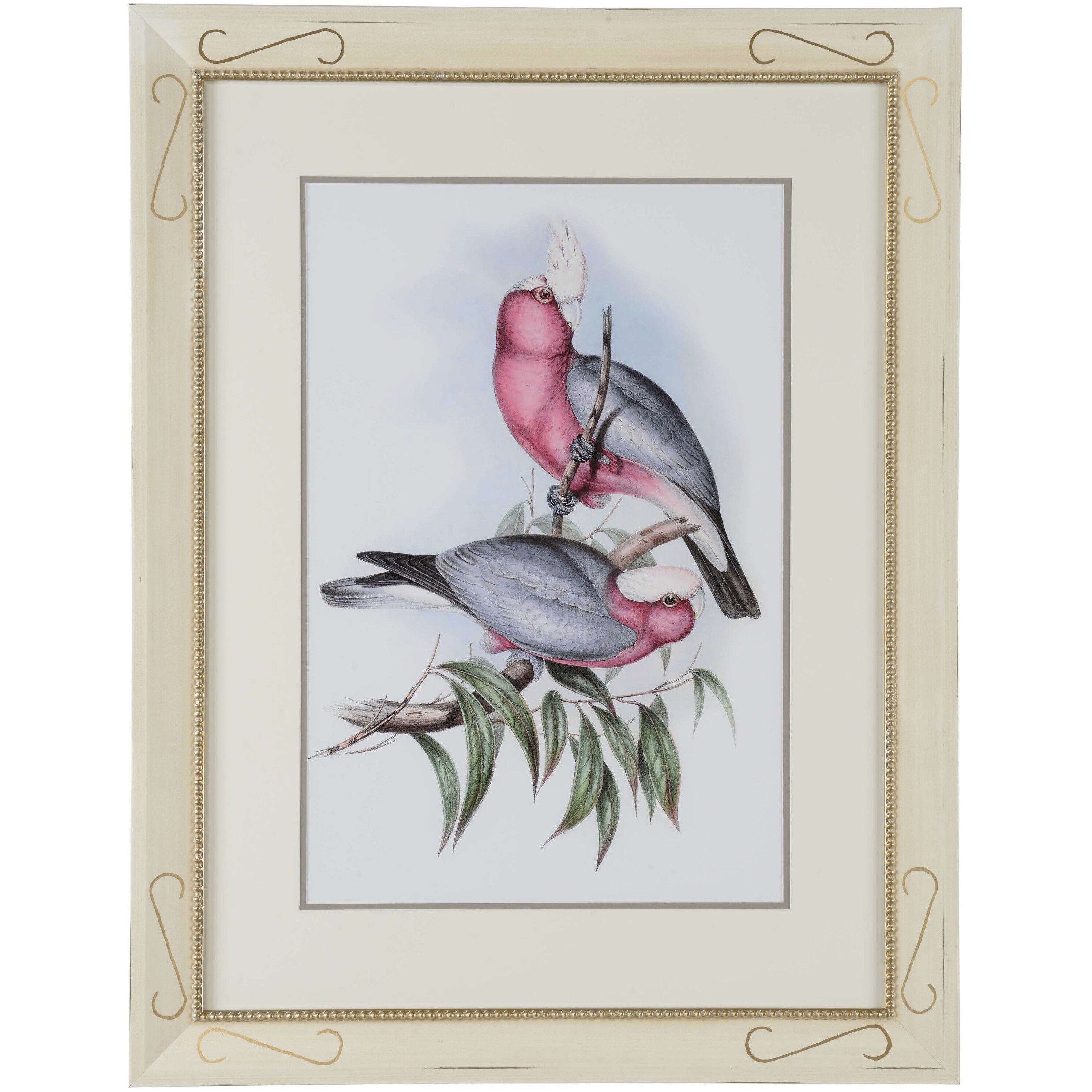 Pastel Parrots II 35.5 X 27.25 inch Print
