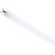 Lumos LED G13 Medium Bi Pin 9.5 watt 4000K LED T8