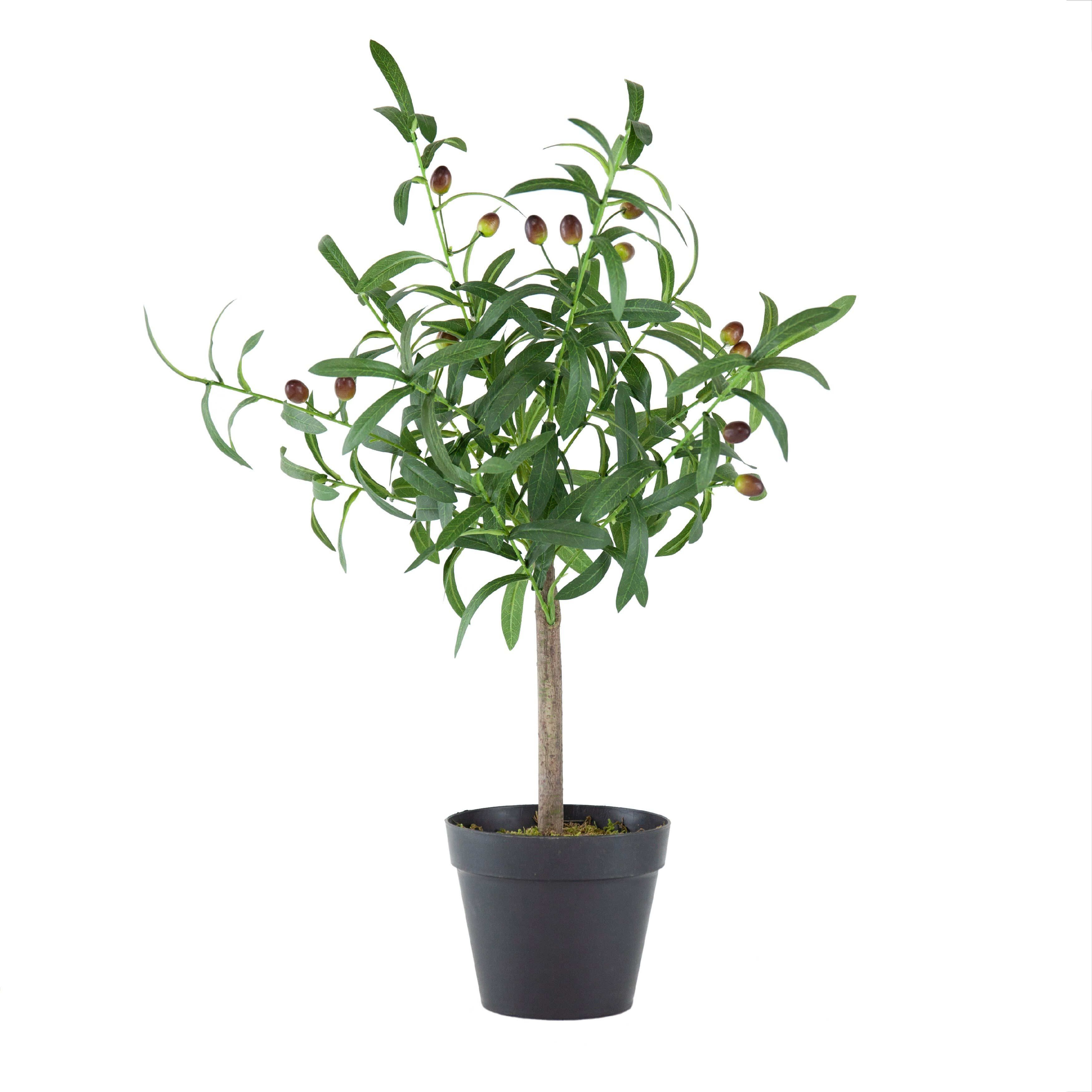 Olive Tree Green and Black Faux Plant