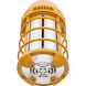 Satco S13174