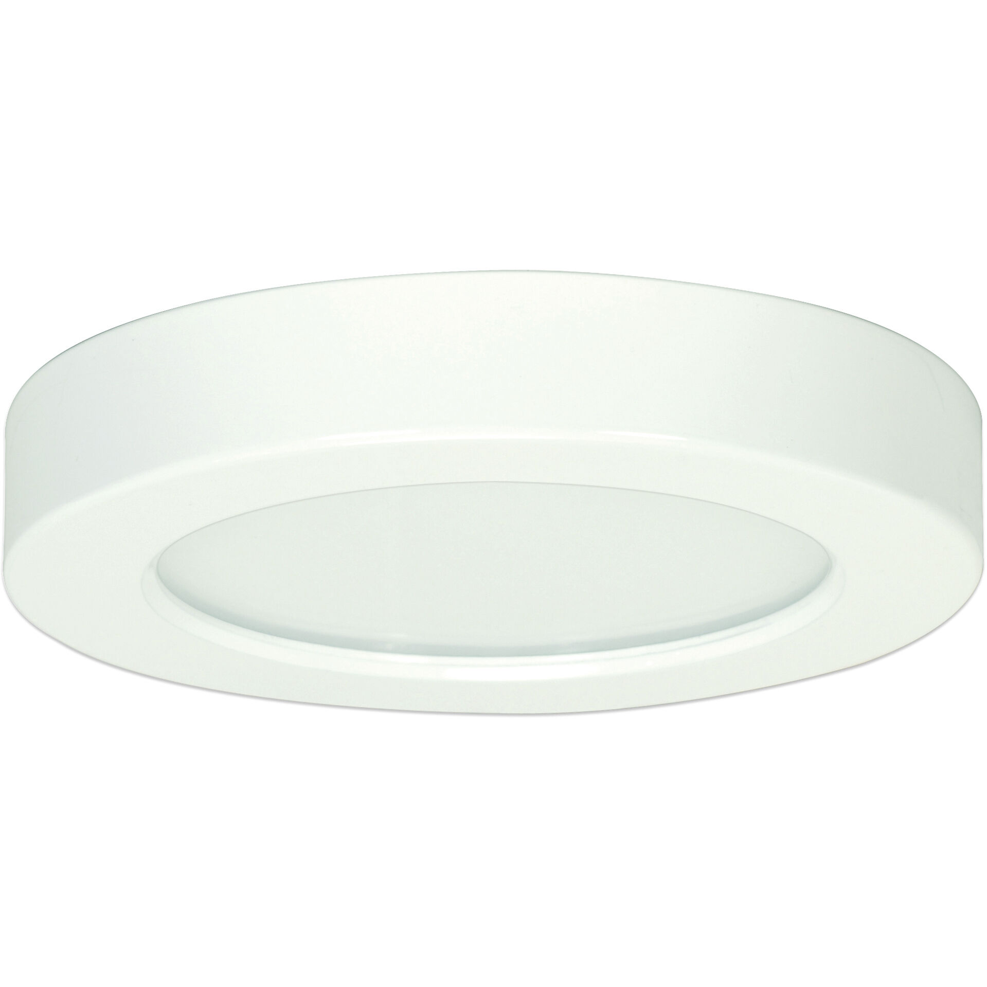 Heartland LED 5.5 inch White Flush Mount Ceiling Light, BLINK