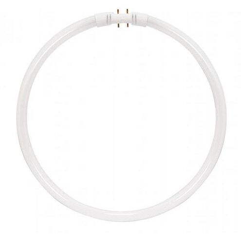 Lumos Fluorescent 40 watt 3000K Light Bulb, Circline - T5-T6-T9