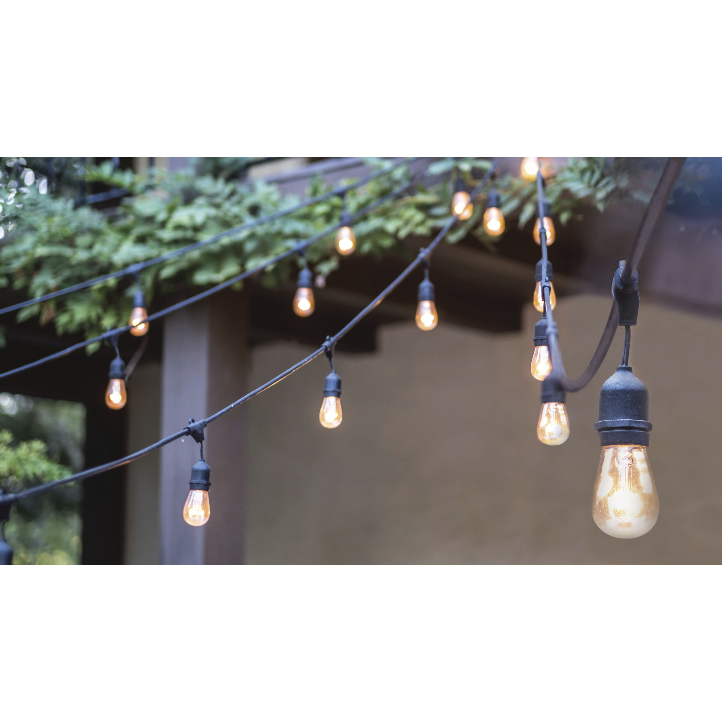 Edgewood 12 Light LED 24 foot Black LED String Light
