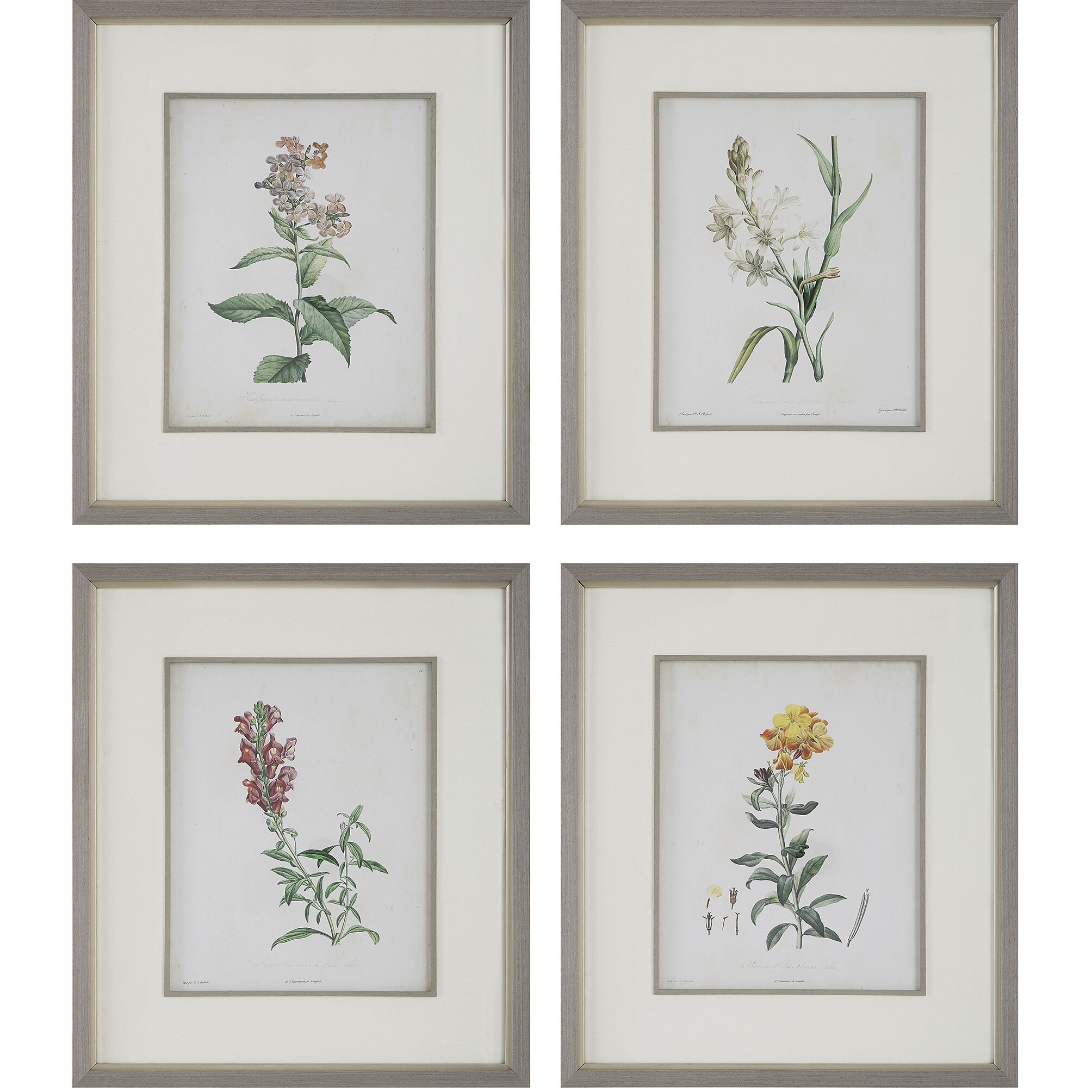 Heirloom Blooms 30.38 X 26.38 inch Framed Prints, Set of 4