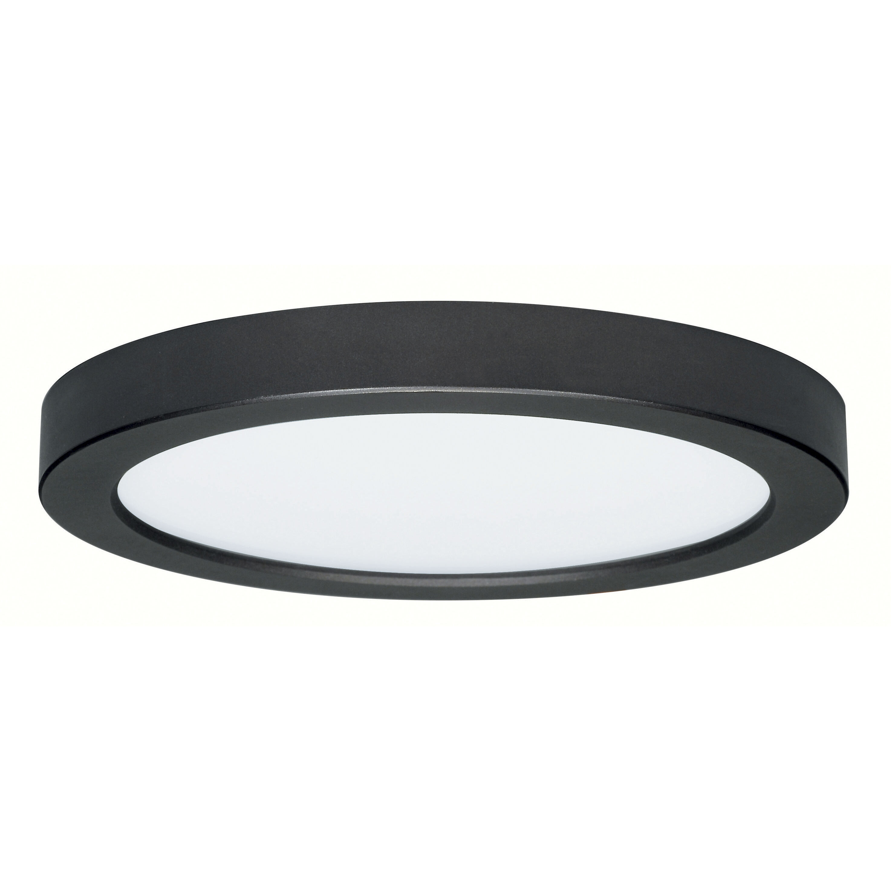 Heartland LED 13 inch Black Flush Mount Ceiling Light, BLINK