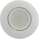 Edgewood Integrated LED White Recessed