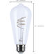 Reminiscent 120 2700K LED Filament