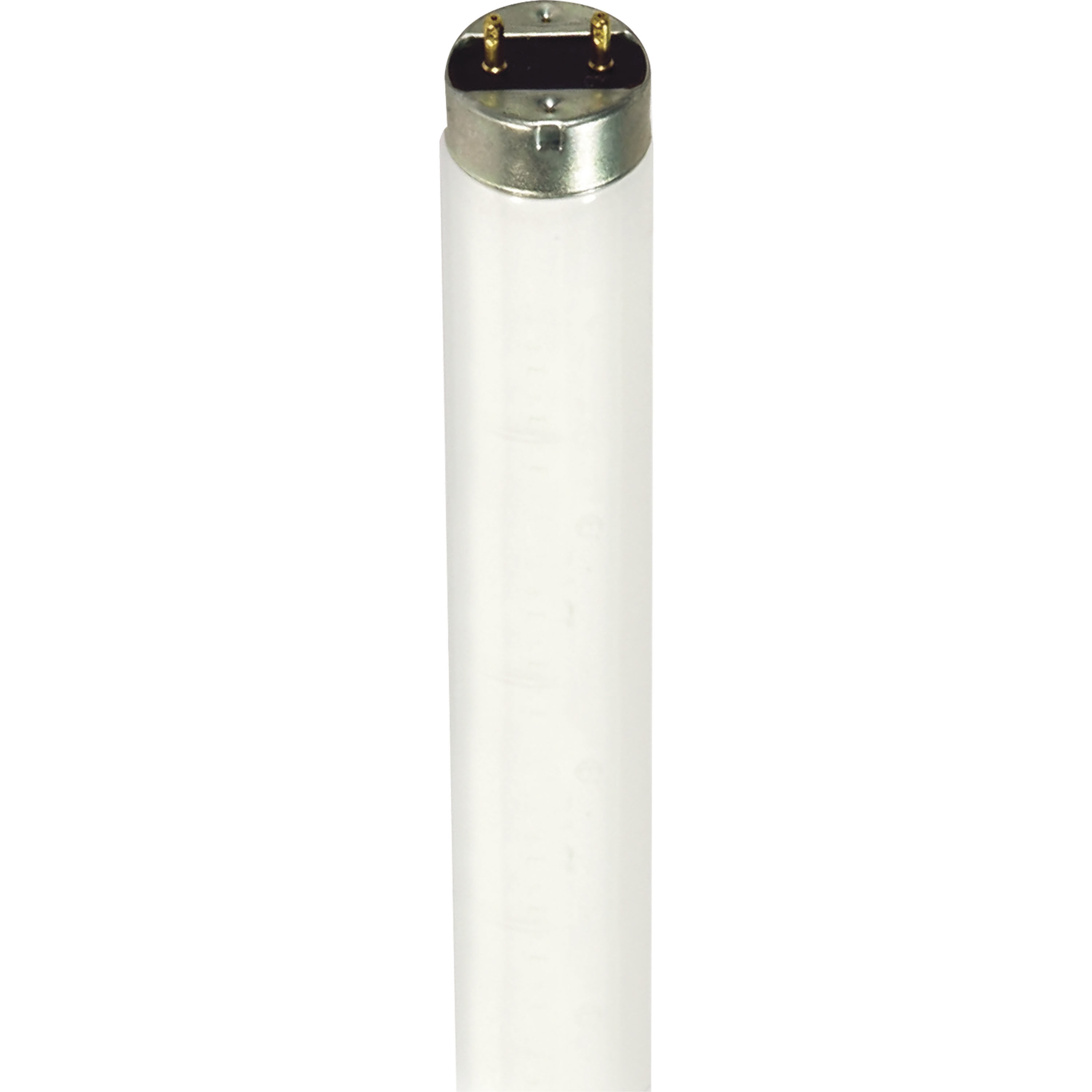 Lumos Fluorescent Medium Bi Pin 32 watt 4100K T8 Linear, T8 Linear