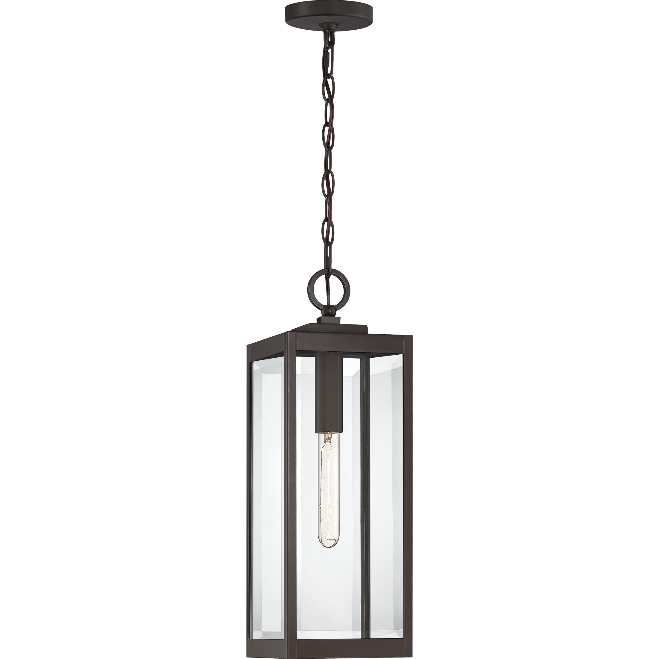 Westover 1 Light 7.00 inch Outdoor Pendant/Chandelier