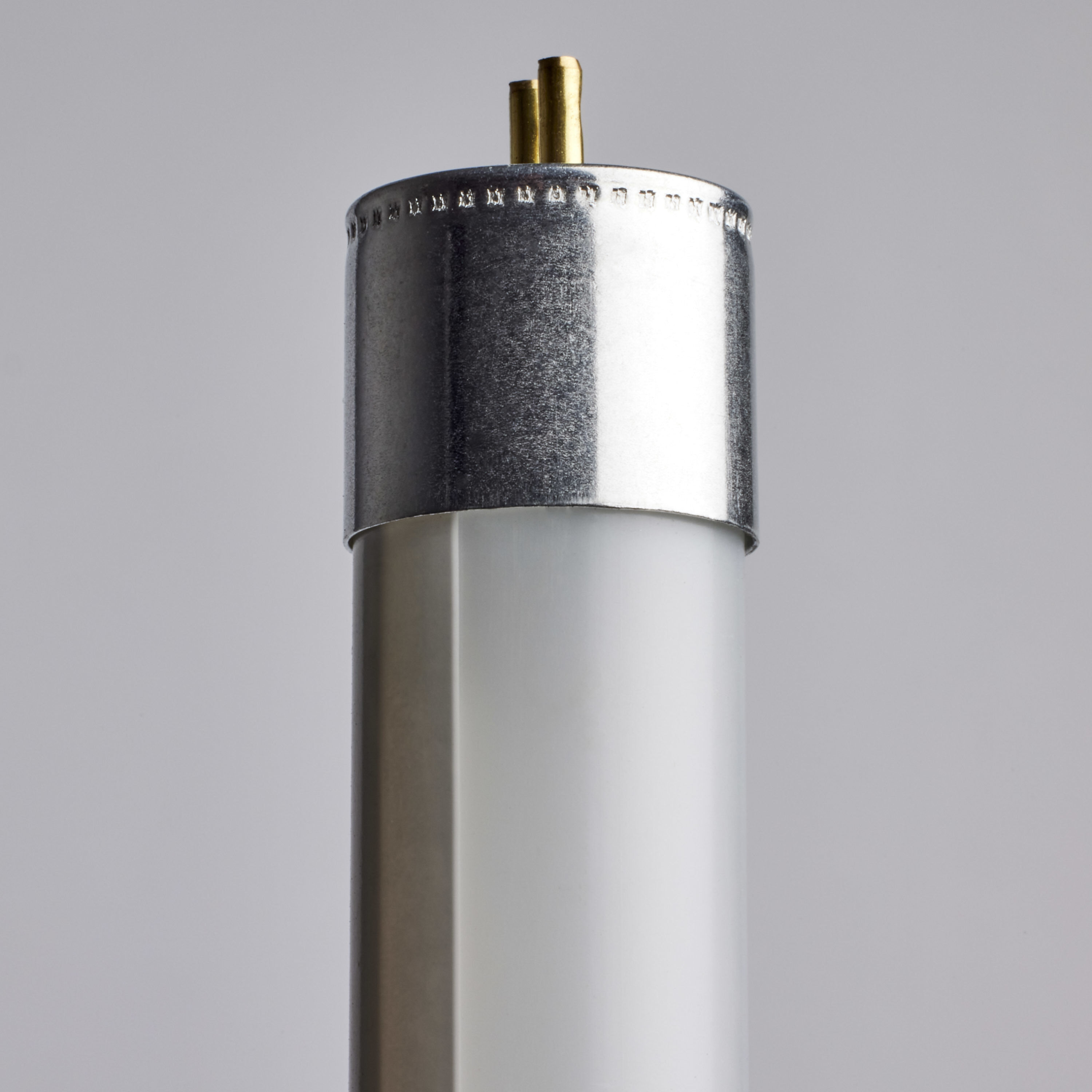 Signature LED T5 Miniature Bi Pin 4 watt 120V 4000K Light Bulb