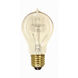 Lumos Incandescent A19 Medium E26 25 watt 120V 2700K Light Bulb
