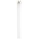 Lumos Fluorescent 40 watt 4100K Light Bulb, T8 Linear