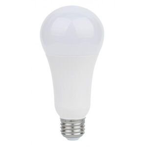 Lumos LED A21 Medium E26 150 watt 120V 5000K Light Bulb