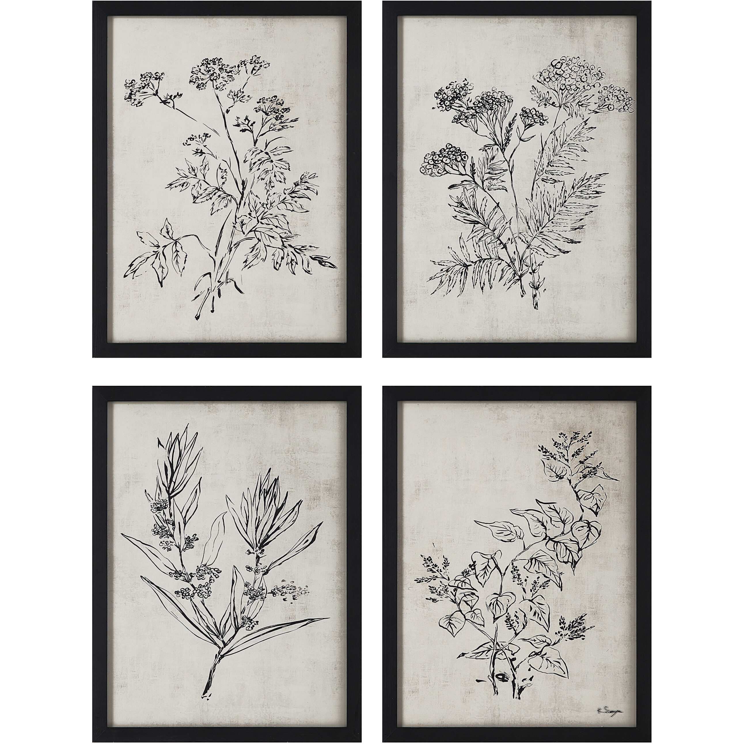 Basset White/Black Canvas Art, 4 Piece