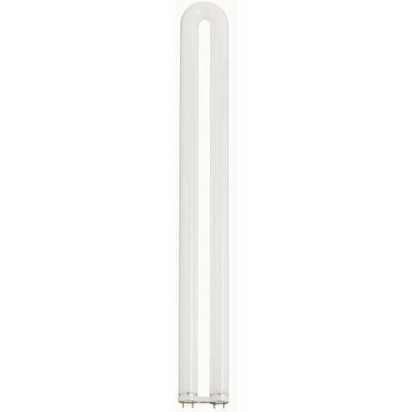 Lumos Fluorescent 31 watt 3500K Light Bulb, T8 Linear U Bend