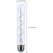 Reminiscent 120 2700K LED Filament