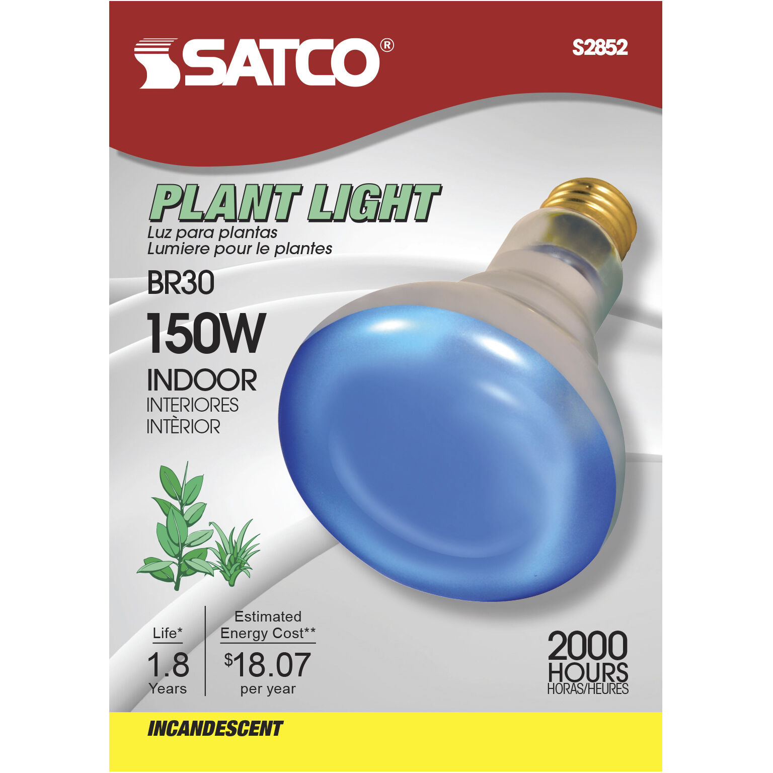 R30 incandescent bulb top