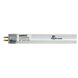 Signature LED T5 Miniature Bi Pin 25 watt 120V 5000K Light Bulb