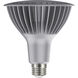 Lumos LED PAR38 Medium 33 watt 120 2700K LED PAR