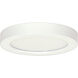 Heartland LED 9 inch White Flush Mount Ceiling Light, BLINK
