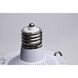 ColorQuick LED EX39 Mogul Extended 270 watt 3000K/4000K/5000K HID Replacements