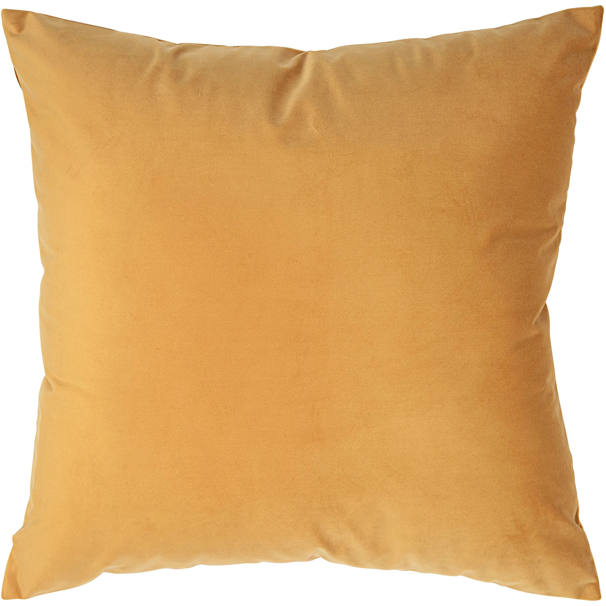 Jonquil 20 inch Mango Indoor Pillow