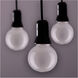 Lumos Decorative LED