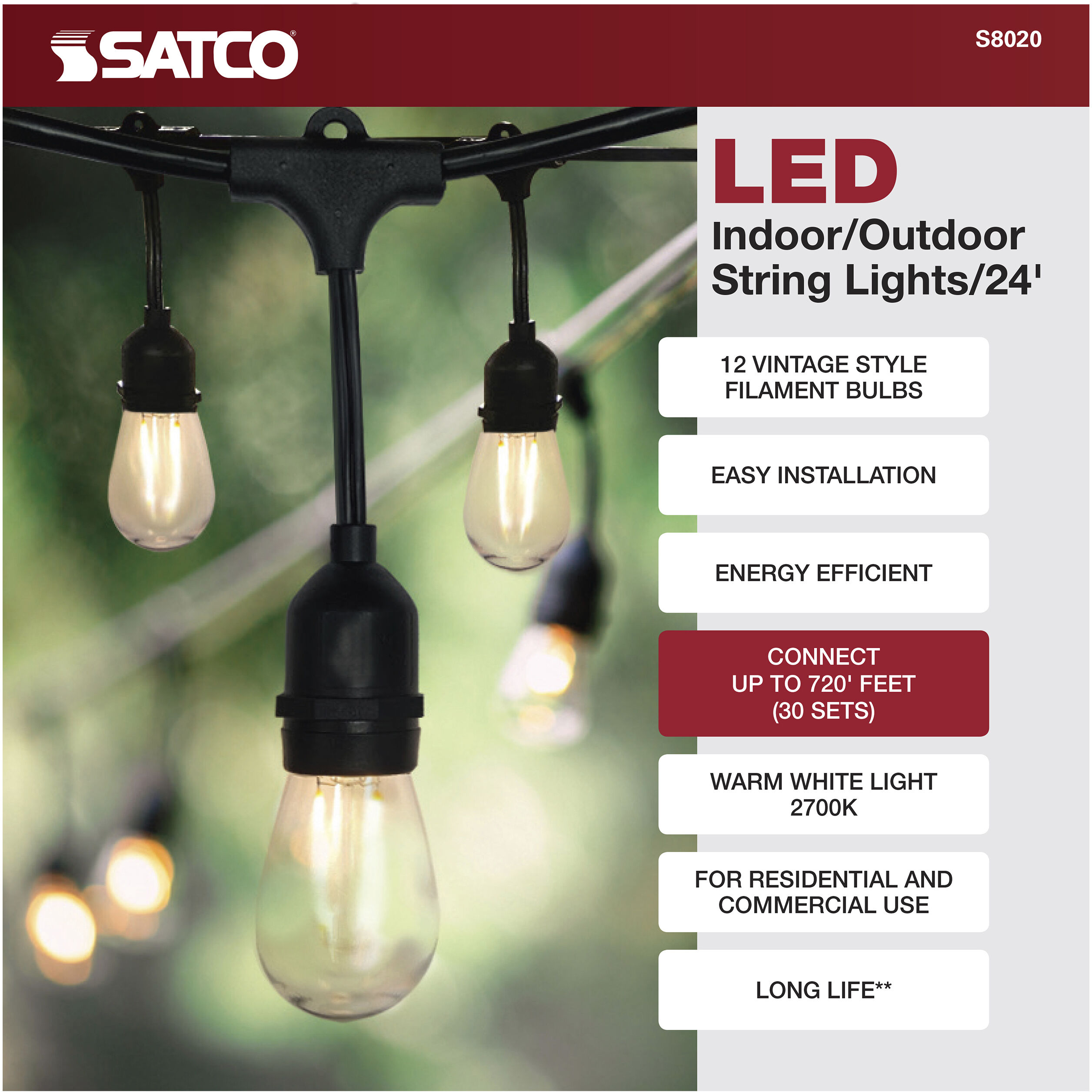 Edgewood 12 Light LED 24 foot Black LED String Light