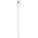 Lumos Fluorescent 32 watt 5000K Light Bulb, T8 Linear