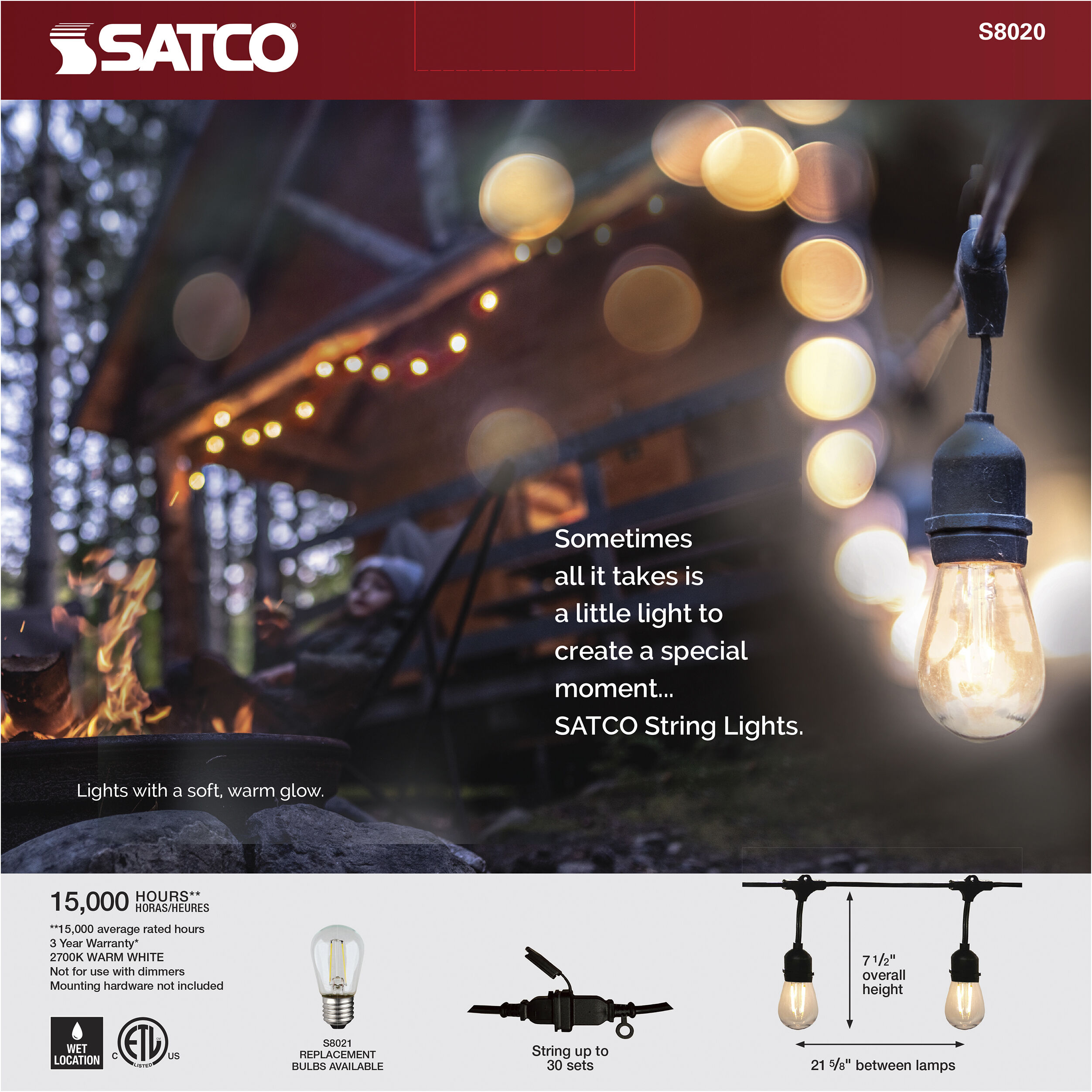 Edgewood 12 Light LED 24 foot Black LED String Light