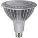 Lumos LED PAR38 Medium 33 watt 120 2700K LED PAR