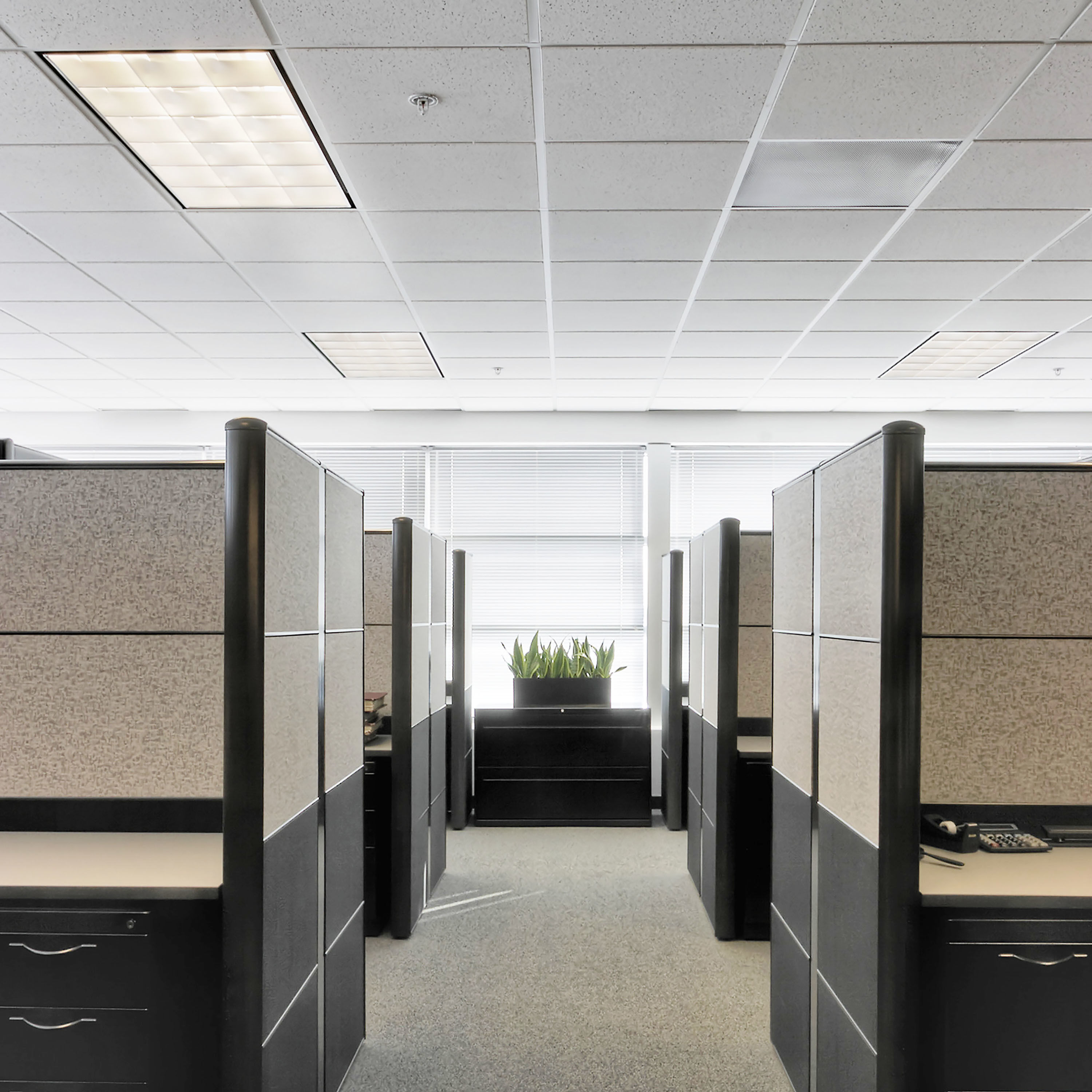 Lumos Fluorescent T12 Linear Medium Bi Pin 25 watt 4100K Light Bulb