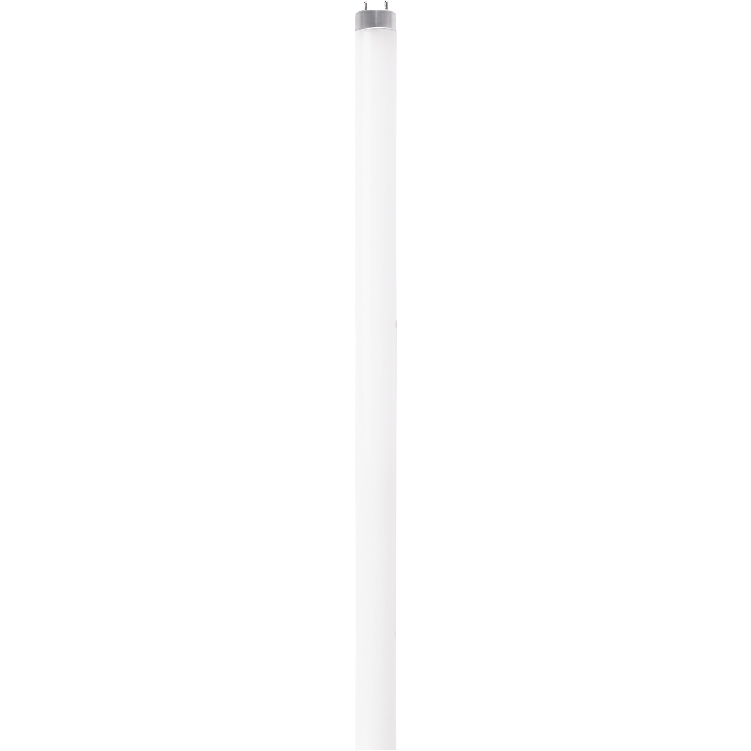 Lumos LED Medium Bi Pin 12 watt 120-277 4000K LED T8, LED T8