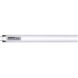 Signature LED T8 Medium Bi Pin 12 watt 120V 5000K Light Bulb