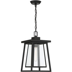 Denver 1 Light 8 inch Black Outdoor Hanging Lantern