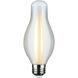 Lumos LED H19 E26 7.00 watt 120 3000K LED Filament