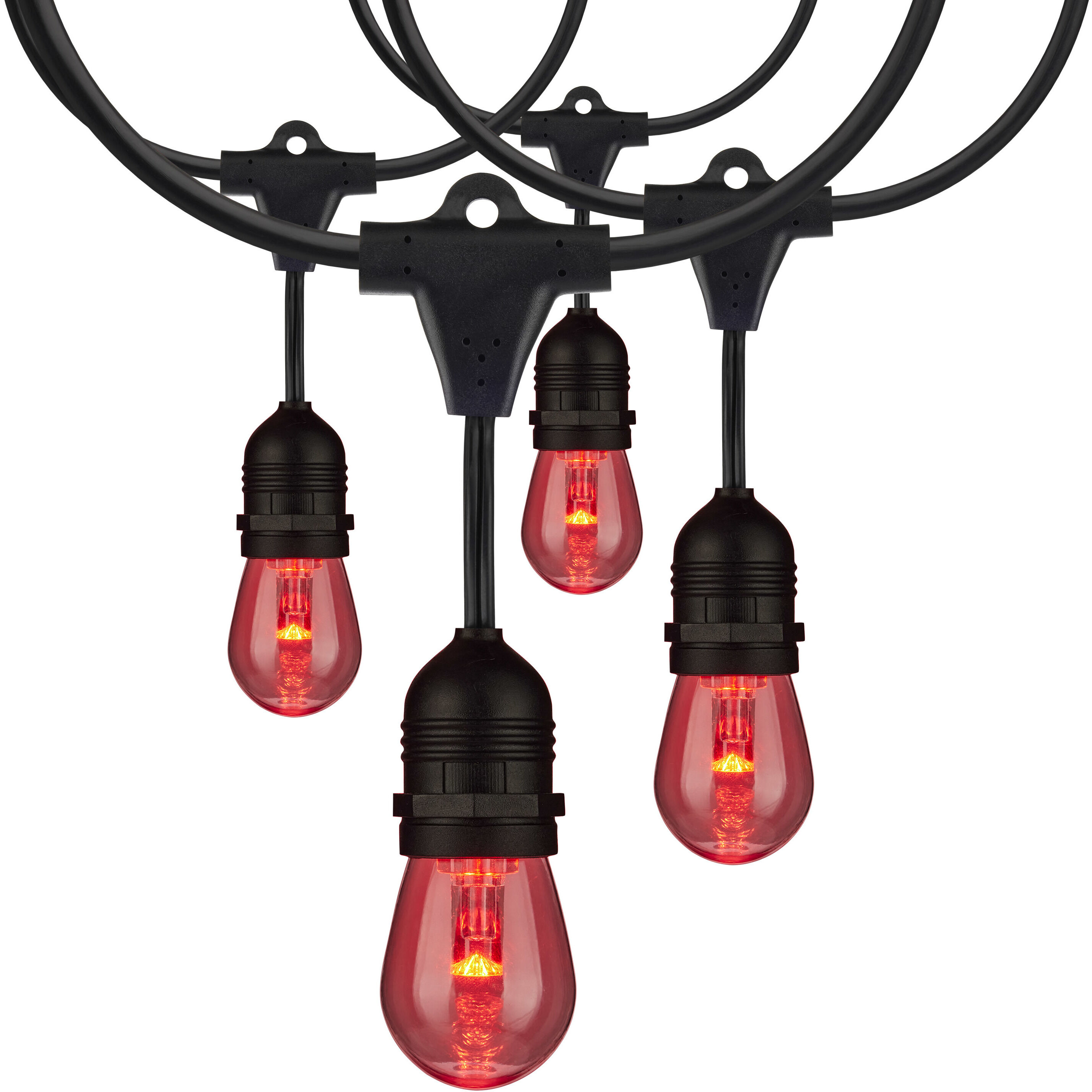 Lumos 12 Light LED 24 foot Black LED String Lights