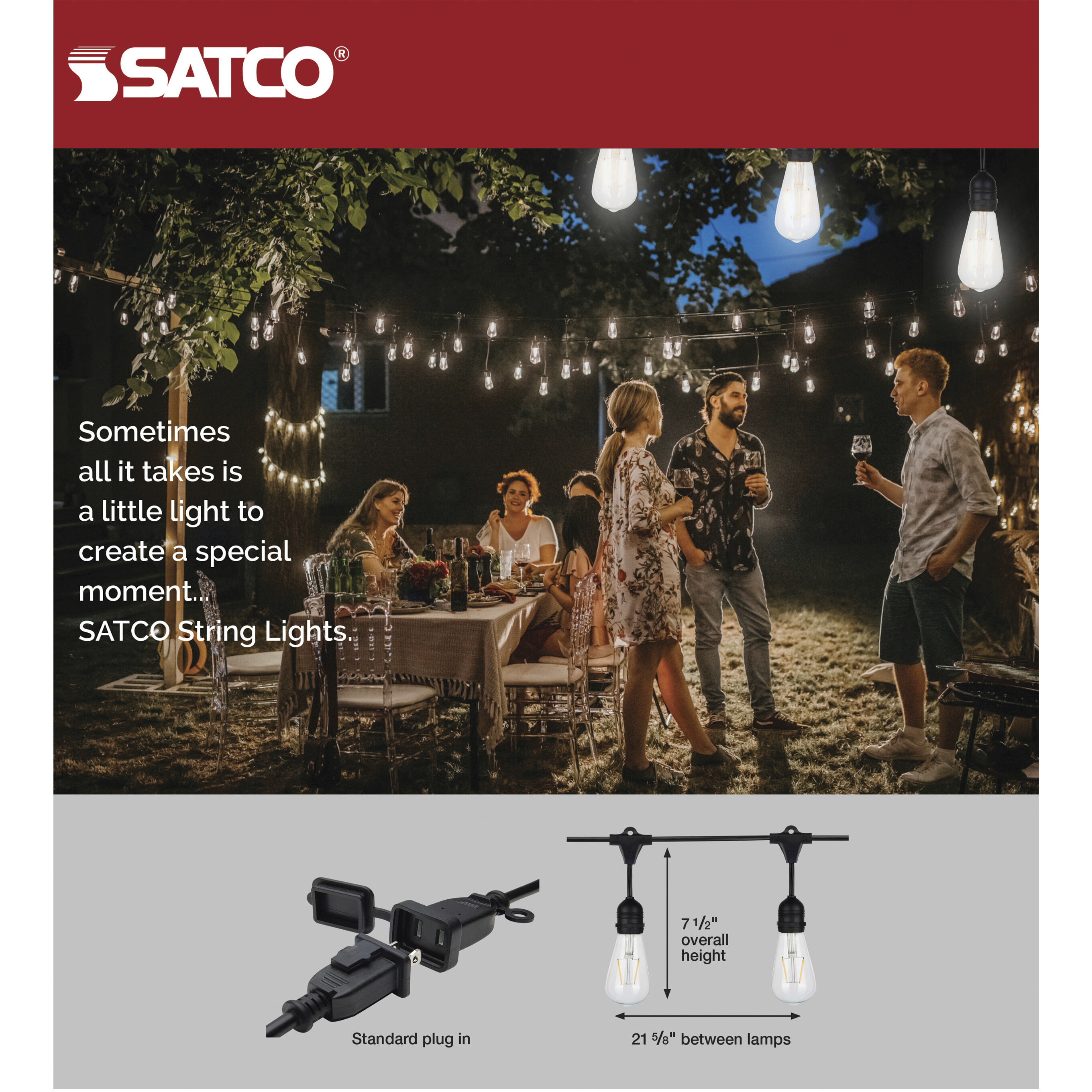 Lumos 12 Light LED 24 foot Black String Lights