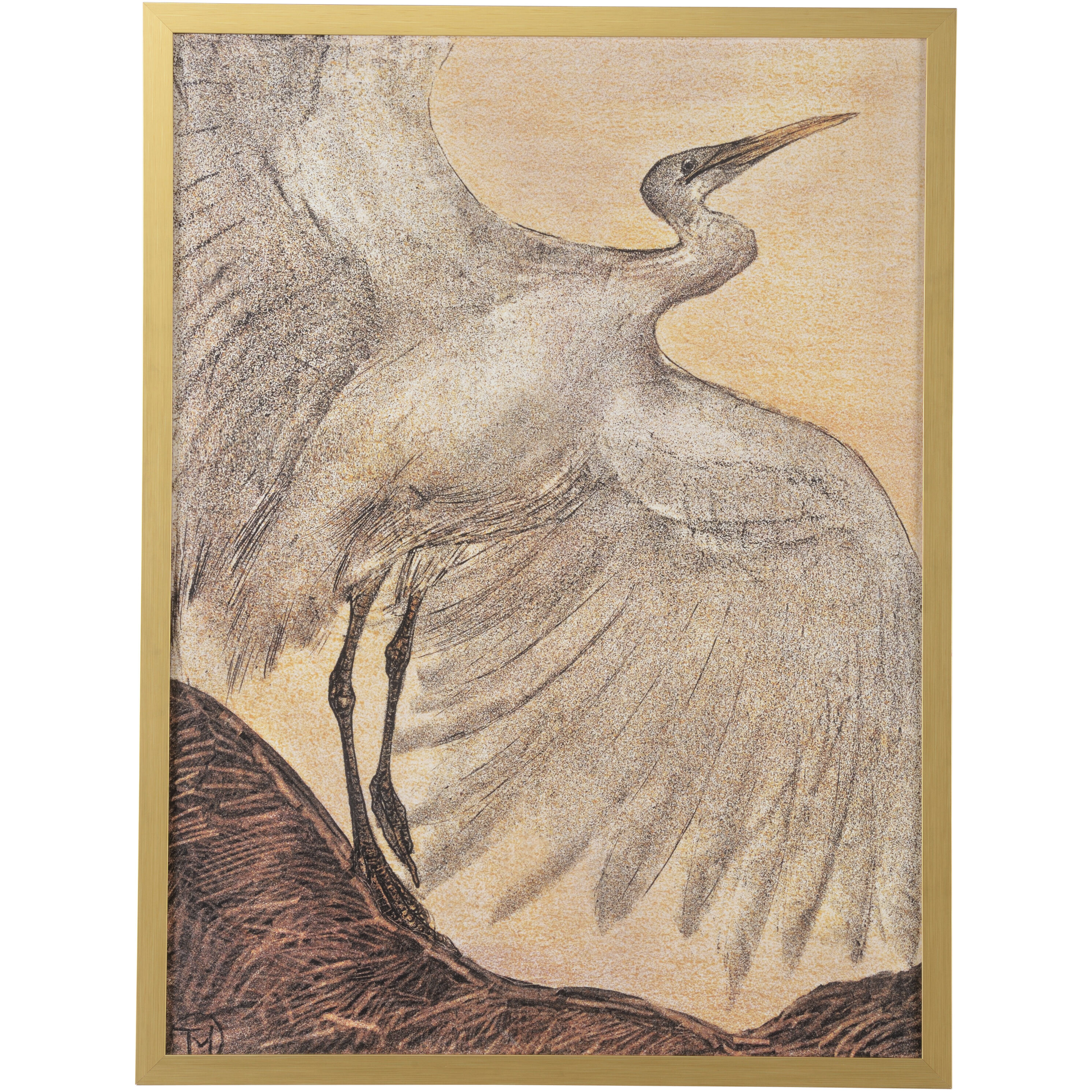 Great Egret 44.5 X 33.5 inch Print