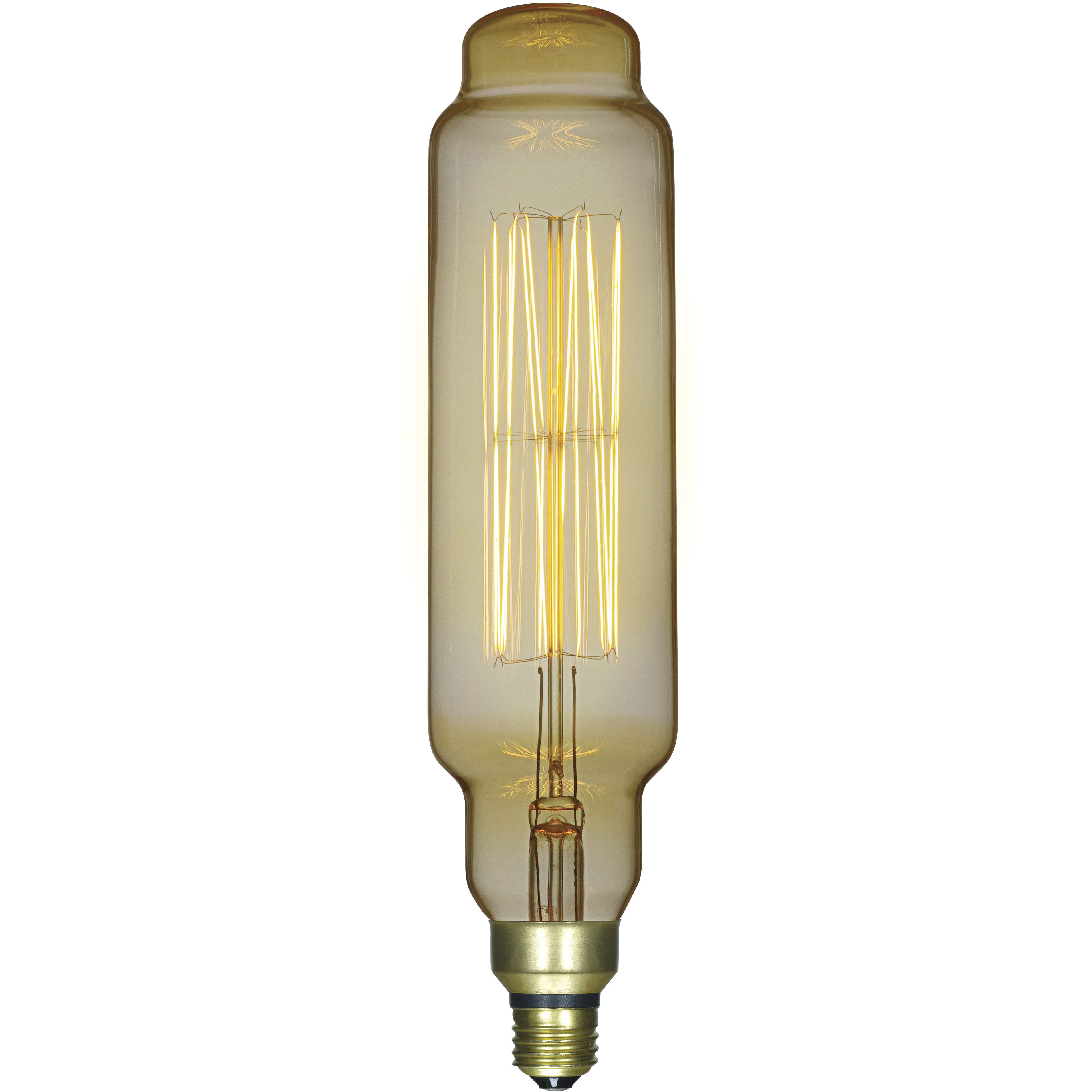 Lumos Incandescent T24 Medium E26 60 watt 120V 2200K Light Bulb