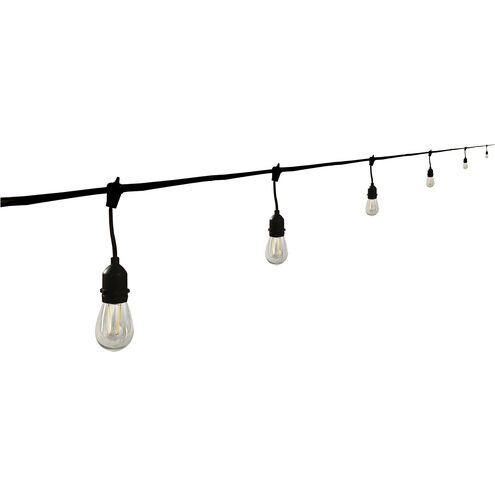 Edgewood 12 Light LED 24 foot Black LED String Light