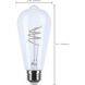 Reminiscent 120 2700K LED Filament