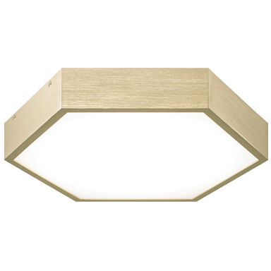 Hexol 1 Light 12.75 inch Flush Mount