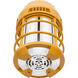 Satco S13173