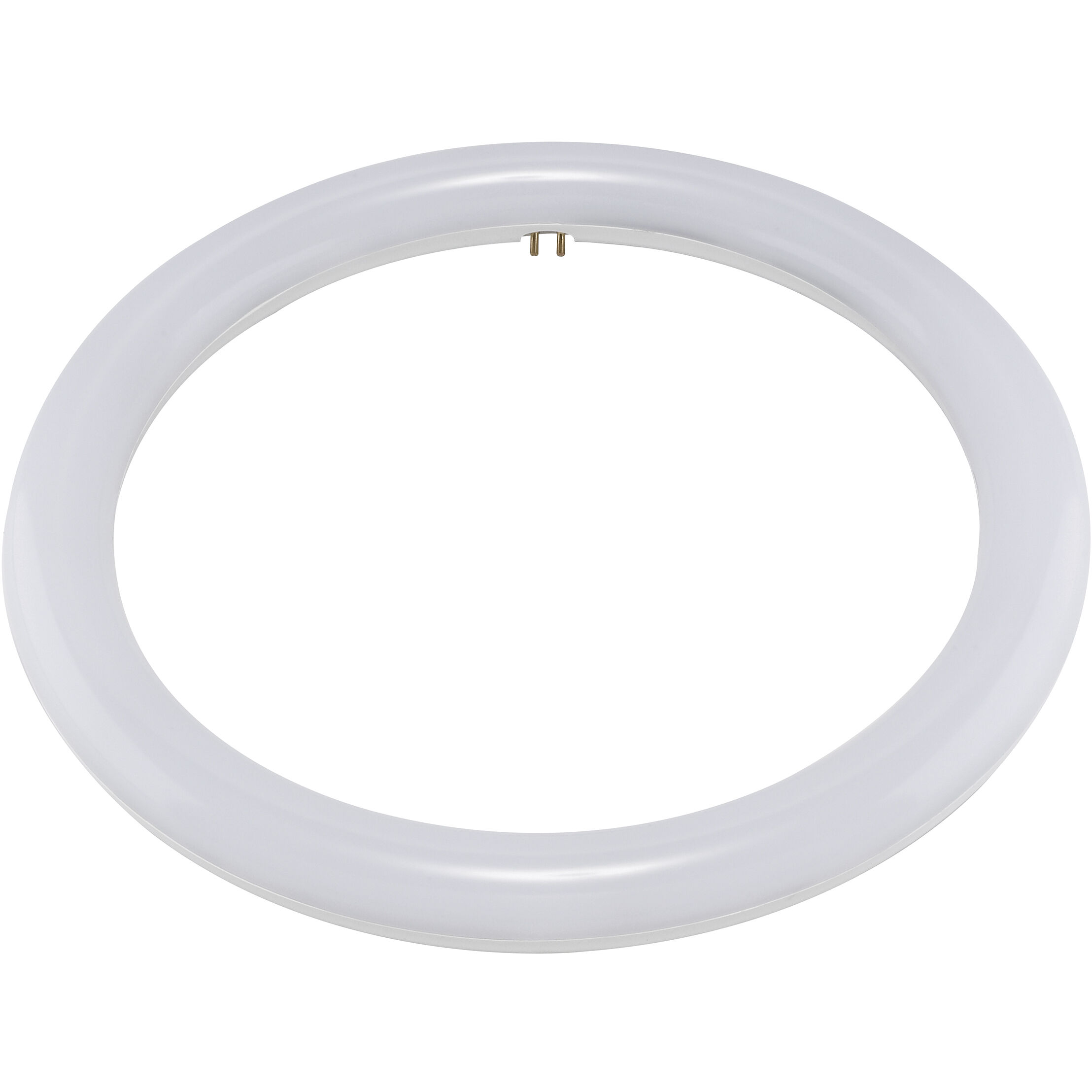 Circline LED T9 4-Pin 16 watt 120V 6500K Light Bulb