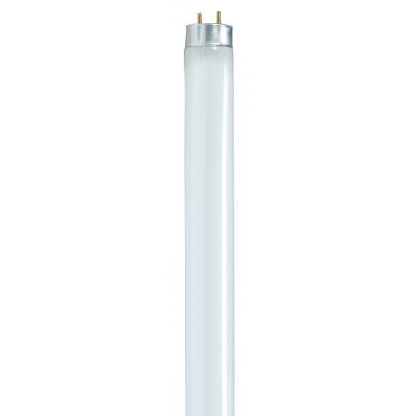 Lumos Fluorescent 25 watt 5000K Light Bulb, T8 Linear Reduced Wattage